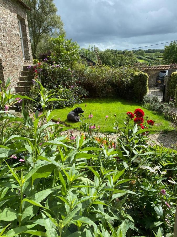 Higher Biddacott Farm Chittlehampton Exterior foto